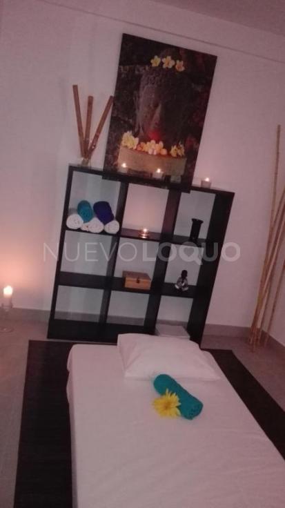 NuevoLoquo2