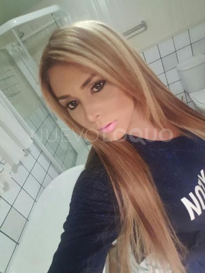 NuevoLoquo1