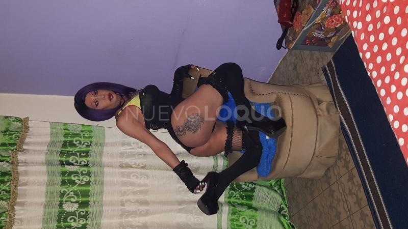 NuevoLoquo1