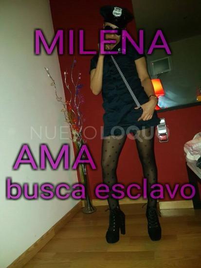 NuevoLoquo1
