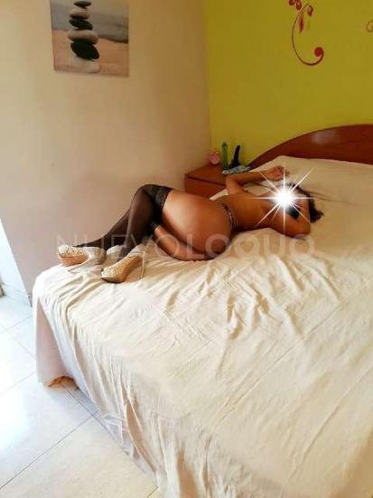 NuevoLoquo2