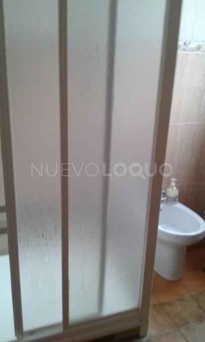 NuevoLoquo3