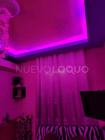 NuevoLoquo3