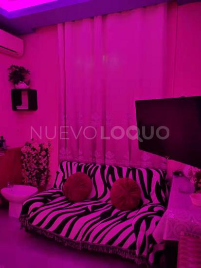 NuevoLoquo4