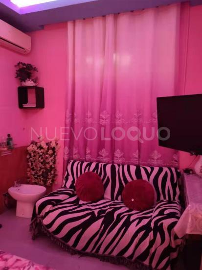 NuevoLoquo3