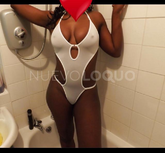 NuevoLoquo2