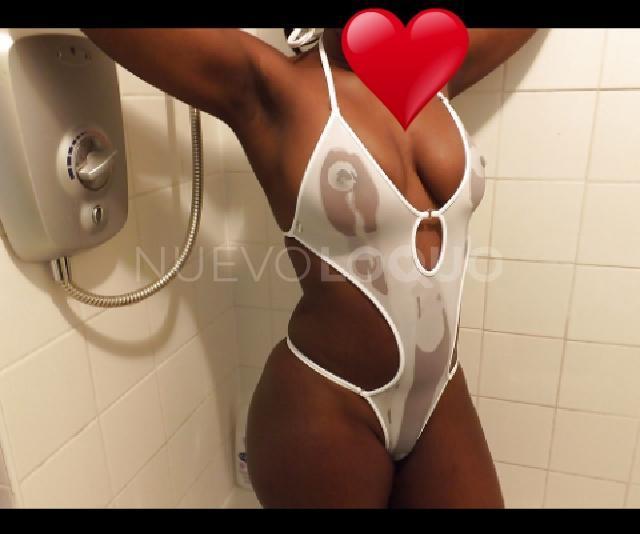 NuevoLoquo3