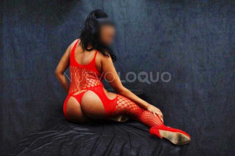 NuevoLoquo3