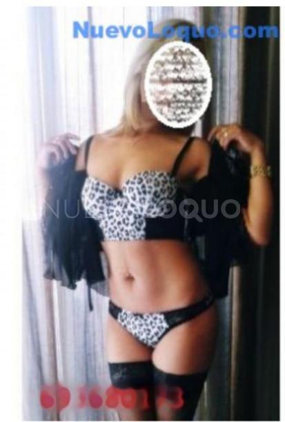 NuevoLoquo3