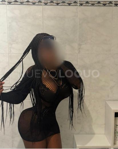 NuevoLoquo3