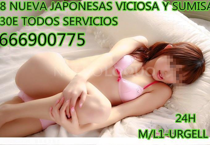 NuevoLoquo5
