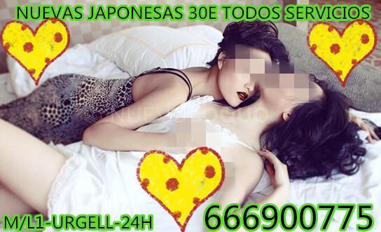 NuevoLoquo1