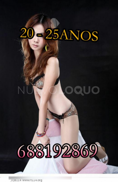 NuevoLoquo2