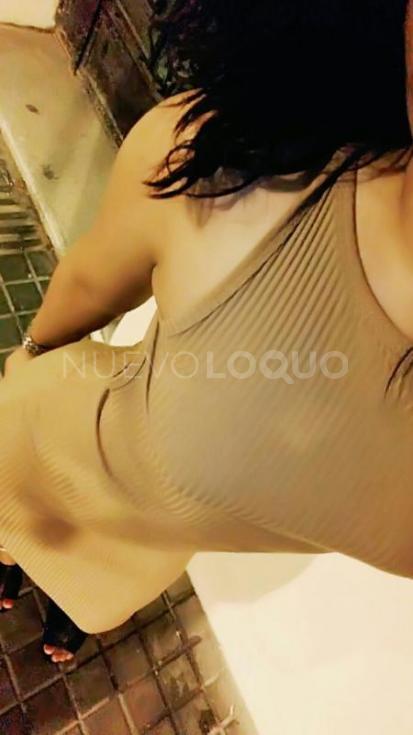 NuevoLoquo2