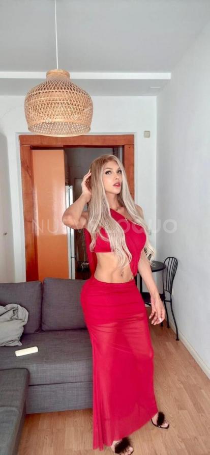 NuevoLoquo2