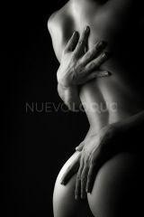 NuevoLoquo2