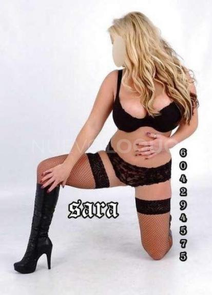 NuevoLoquo3