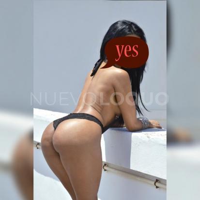 NuevoLoquo2
