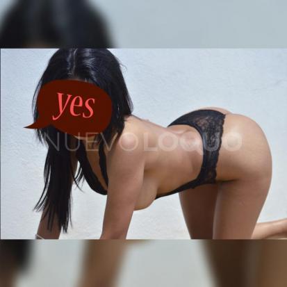 NuevoLoquo3