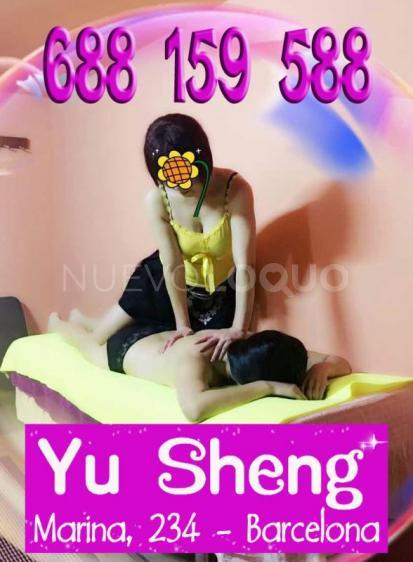 NuevoLoquo2