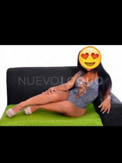 NuevoLoquo5