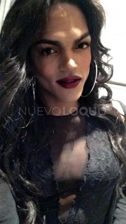  Paloma negra 