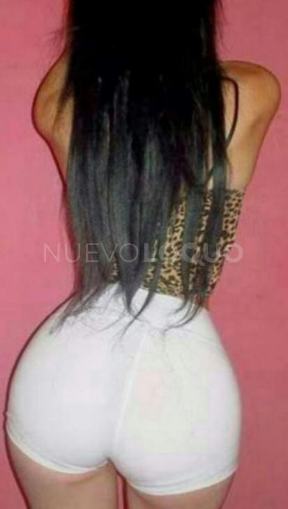 NuevoLoquo2