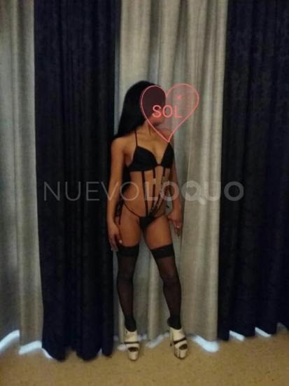 NuevoLoquo4