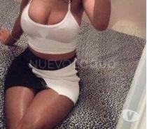 NuevoLoquo2
