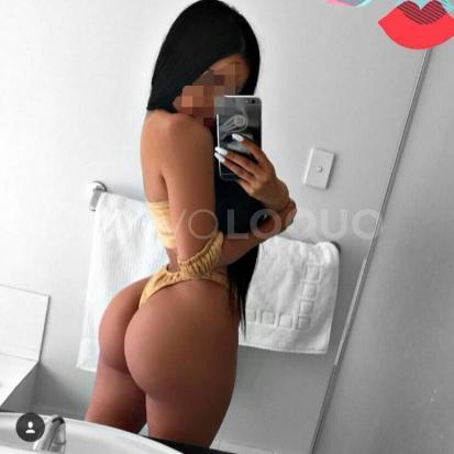 NuevoLoquo2