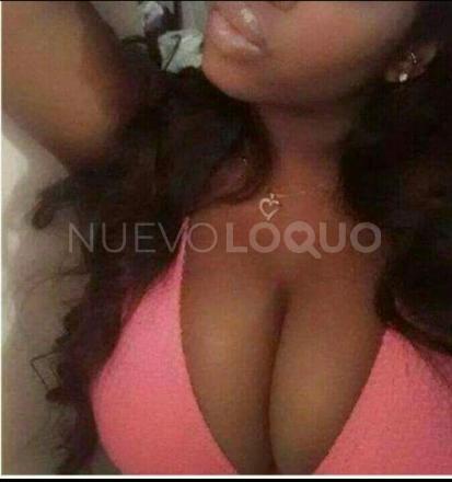 NuevoLoquo2