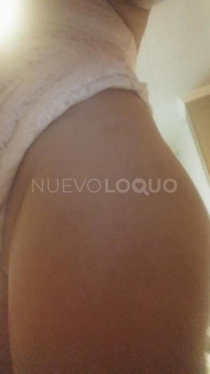 NuevoLoquo2