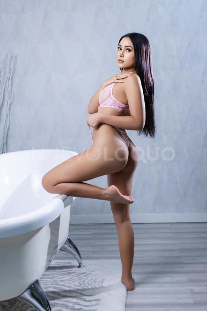 NuevoLoquo3