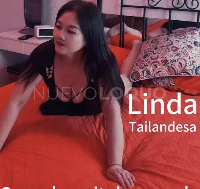 NuevoLoquo3