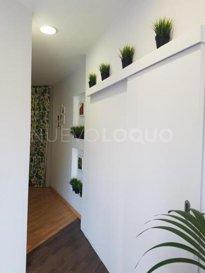 NuevoLoquo3