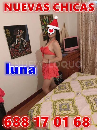 NuevoLoquo1