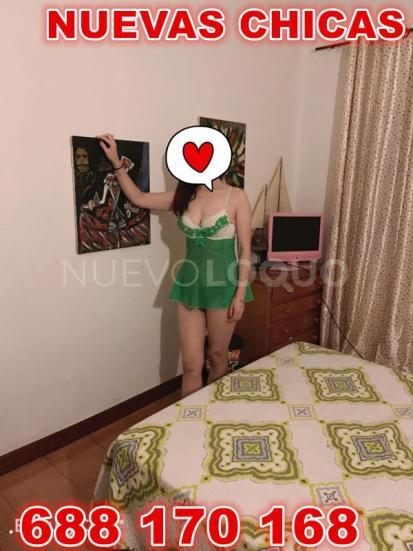 NuevoLoquo3