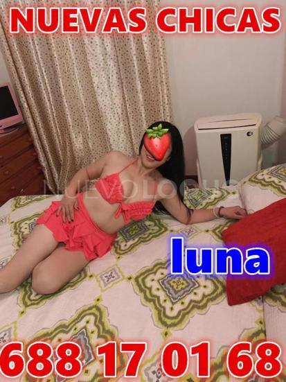 NuevoLoquo4