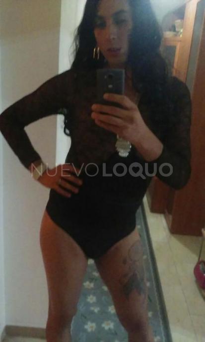 NuevoLoquo1