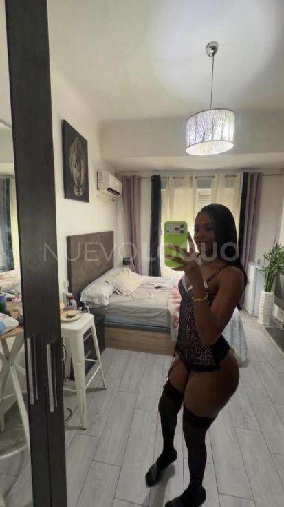 NuevoLoquo2
