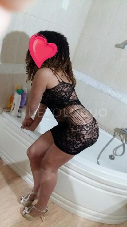 NuevoLoquo2