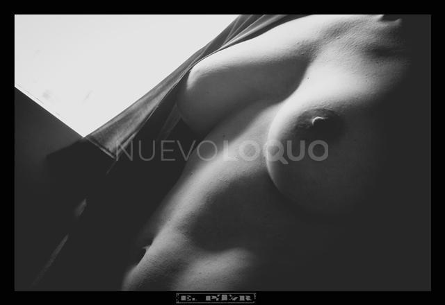 NuevoLoquo1