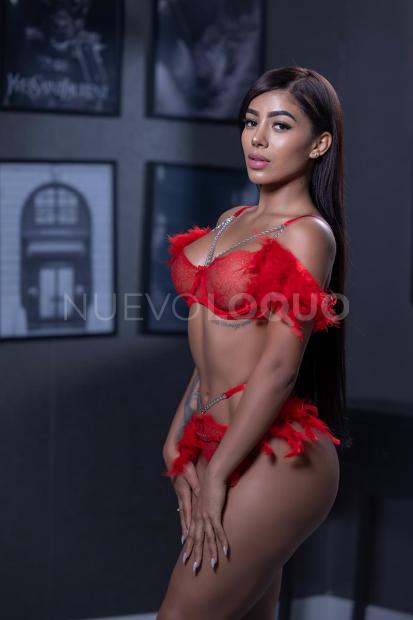 NuevoLoquo1