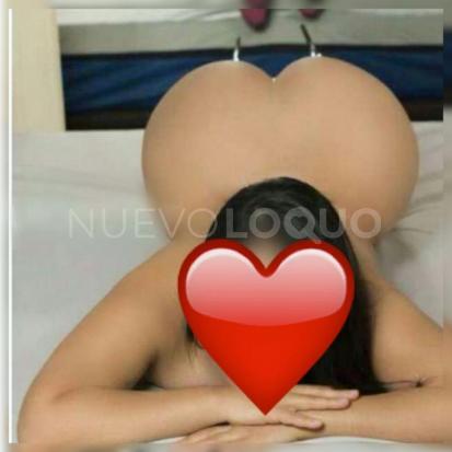 NuevoLoquo2