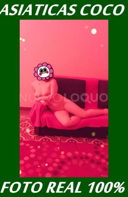 NuevoLoquo2