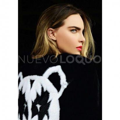 NuevoLoquo1