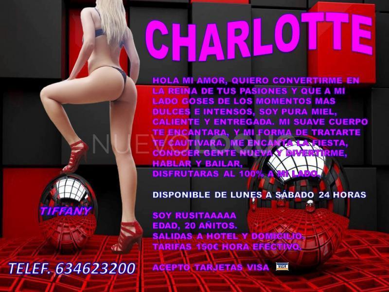 NuevoLoquo5