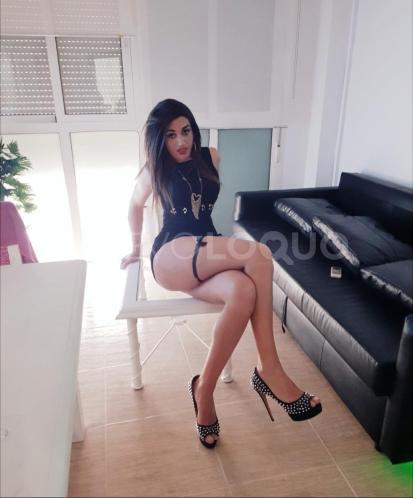 NuevoLoquo3