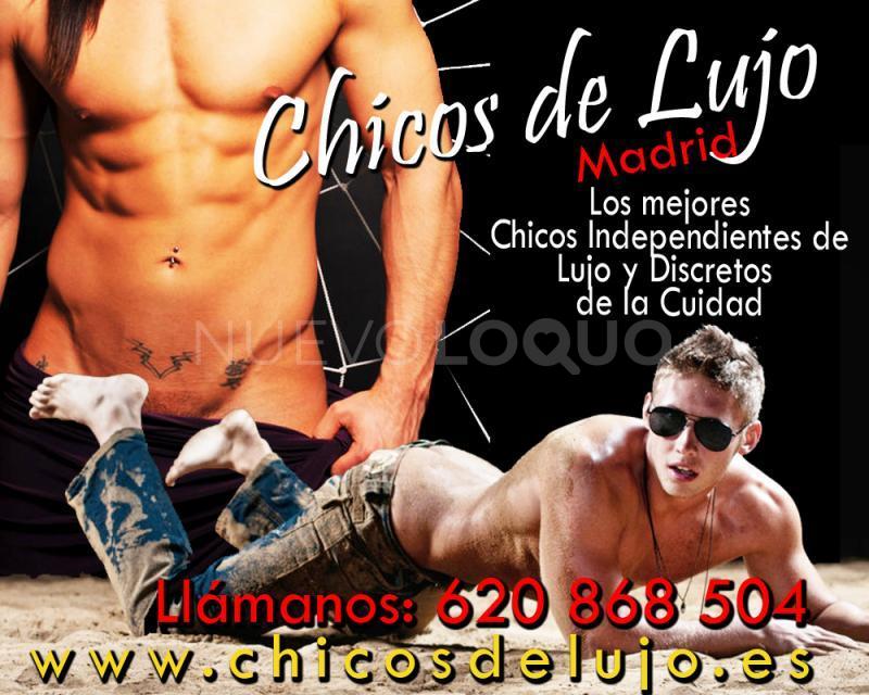 NuevoLoquo1