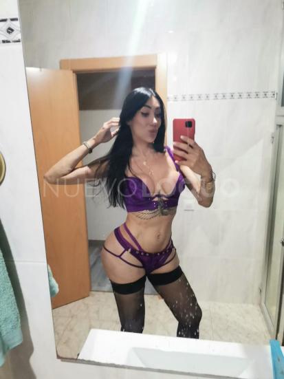 NuevoLoquo3